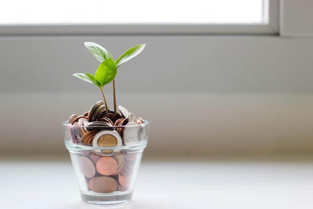 A small plant symbolizes creative ways to save money around the house, sprouting from a glass filled with coins on a white surface by the window.