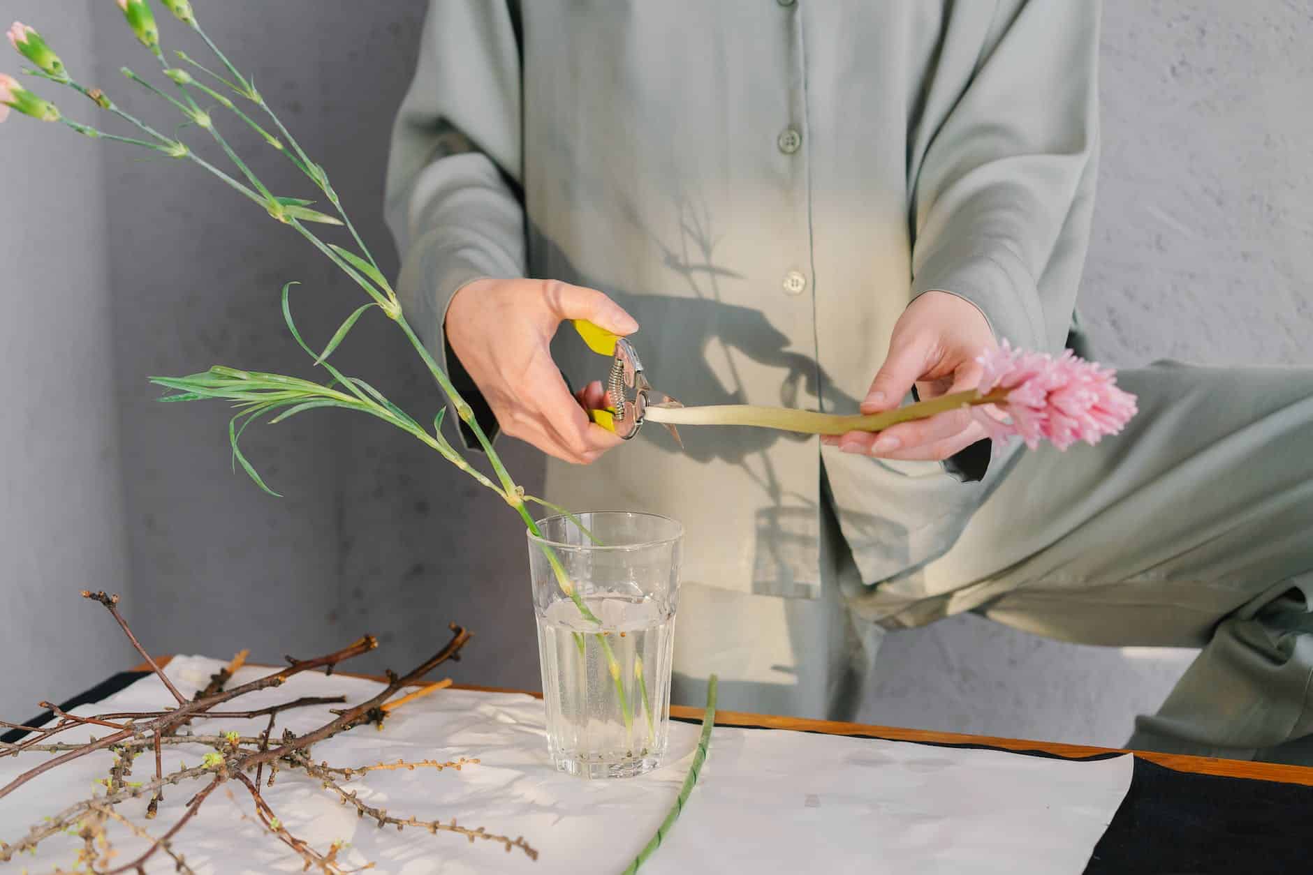 person holding yellow and white flower