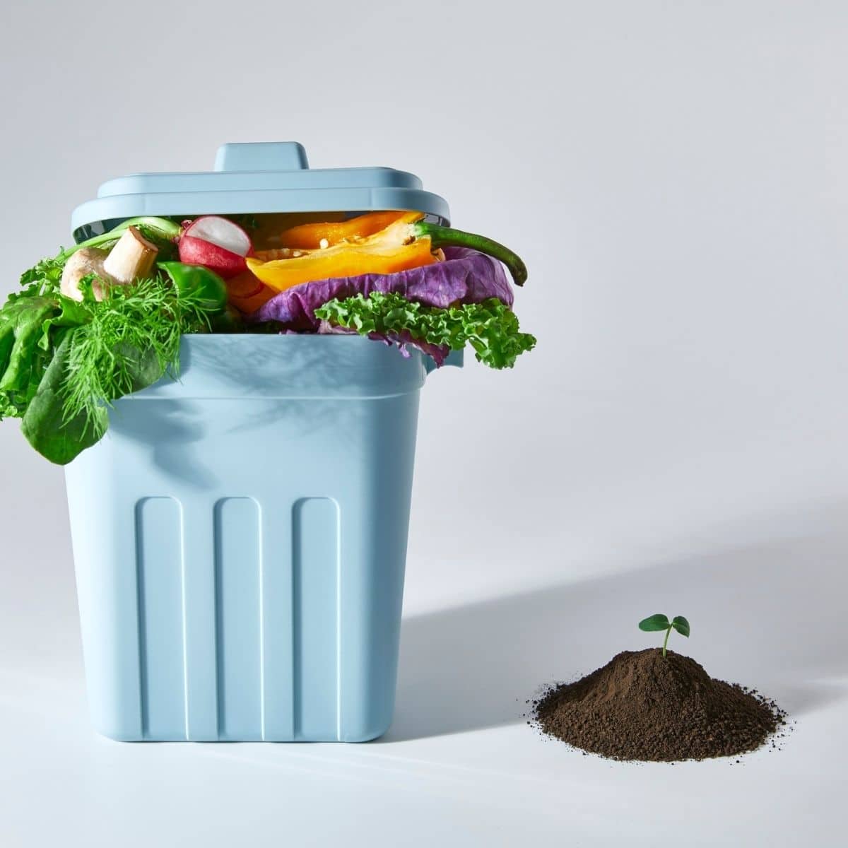 A blue compost bin filled with vegetable scraps sits next to a small pile of soil with a seedling sprouting from it on a plain white background.