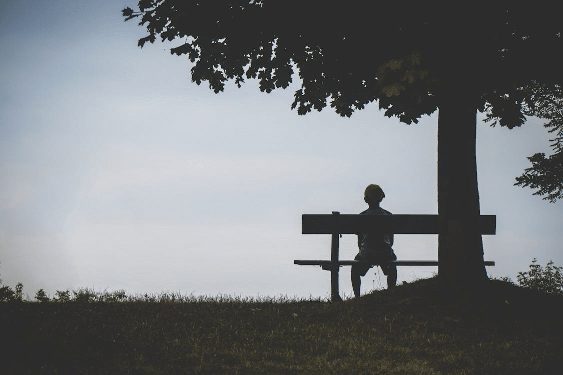 A person sits alone on a bench under a tree, with grass beneath and a clear sky in the background.