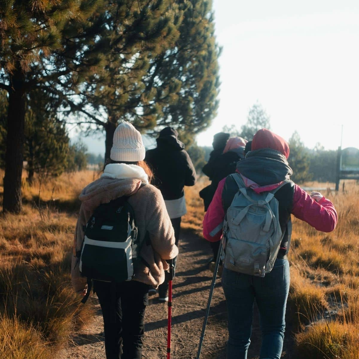 A group of people with rucksacks and walking sticks hike on a dirt path through a wooded area with tall grass and trees.