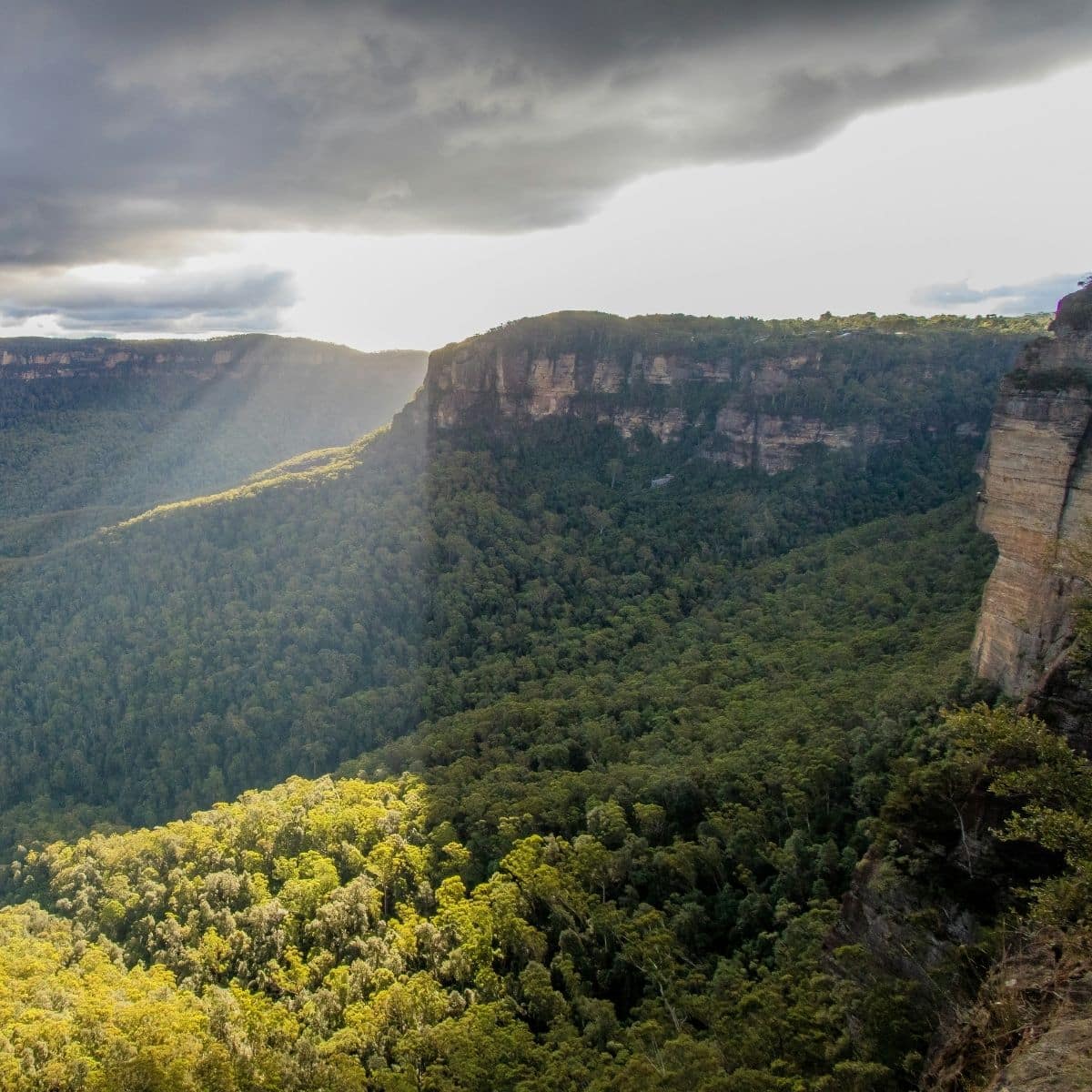 Sunlight breaks through clouds, illuminating a forested valley surrounded by tall cliffs and dense greenery.